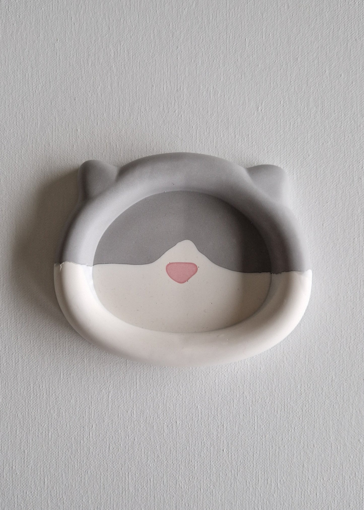 The Cat, Gray & white with pink nose